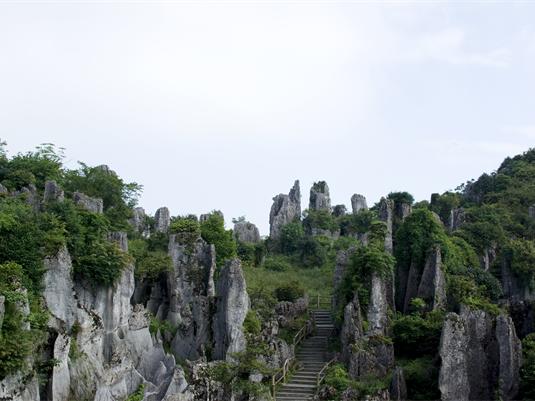 四川华蓥山风景区旅游景点介绍_风景520 四川华蓥山风景区旅游景点介绍